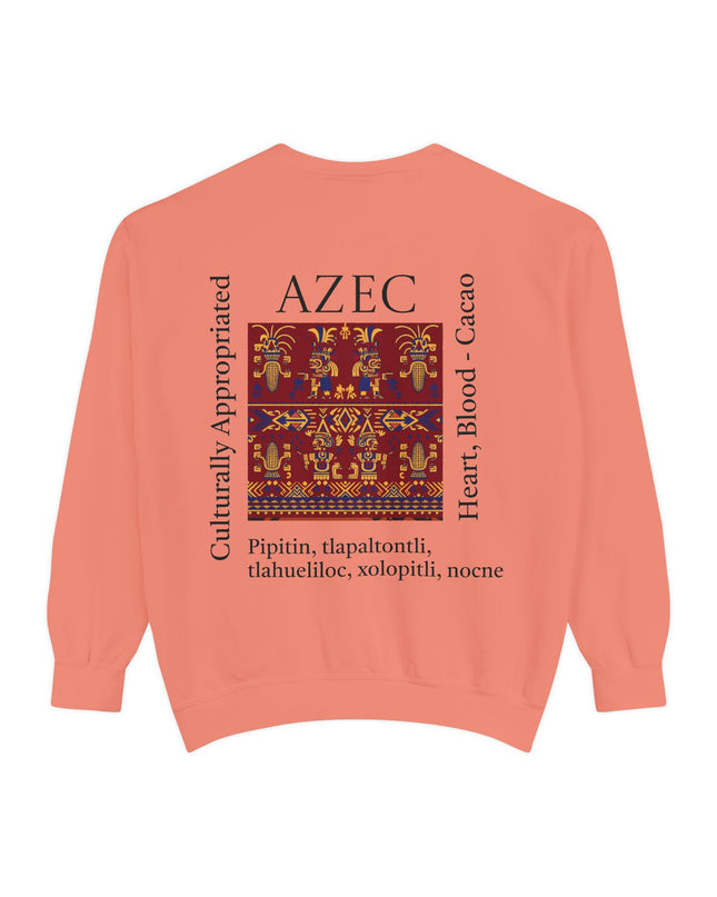 Aztec Pattern Sweatshirt - Culturally Appropriated Designs