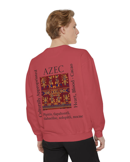 Aztec Pattern Sweatshirt - Culturally Appropriated Designs