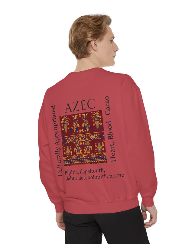 Aztec Pattern Sweatshirt - Culturally Appropriated Designs