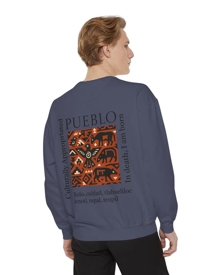 Pueblo Pattern Sweatshirt - Culturally Appropriated Designs