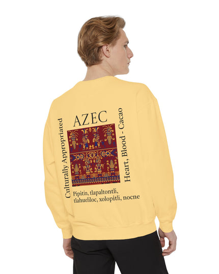 Aztec Pattern Sweatshirt - Culturally Appropriated Designs