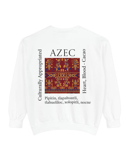 Aztec Pattern Sweatshirt - Culturally Appropriated Designs
