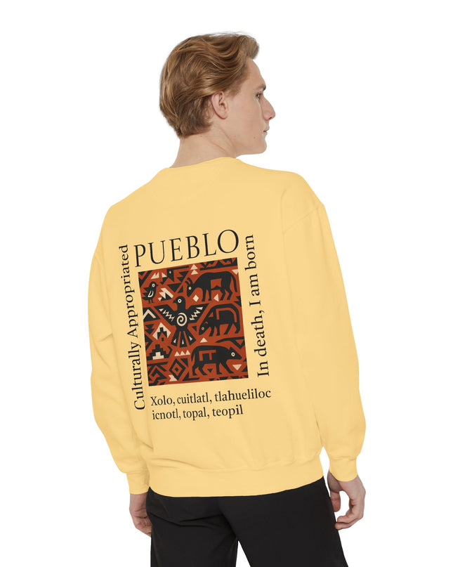 Pueblo Pattern Sweatshirt - Culturally Appropriated Designs