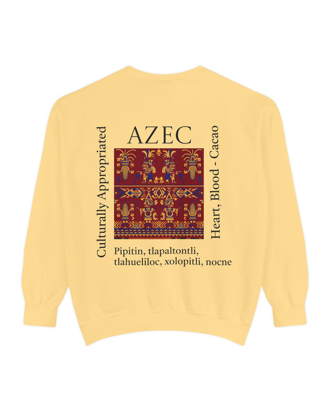 Aztec Pattern Sweatshirt - Culturally Appropriated Designs