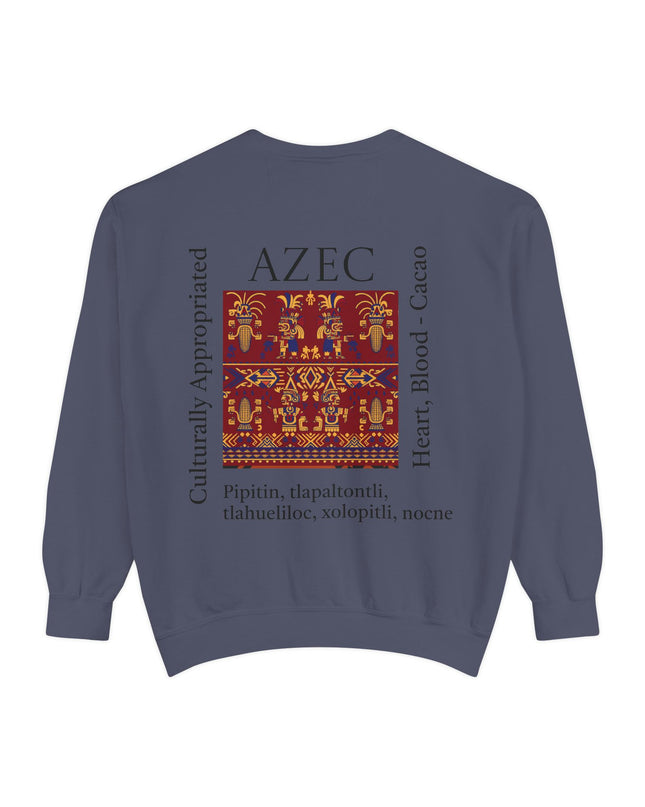 Aztec Pattern Sweatshirt - Culturally Appropriated Designs