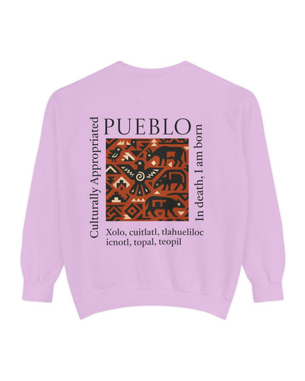 Pueblo Pattern Sweatshirt - Culturally Appropriated Designs