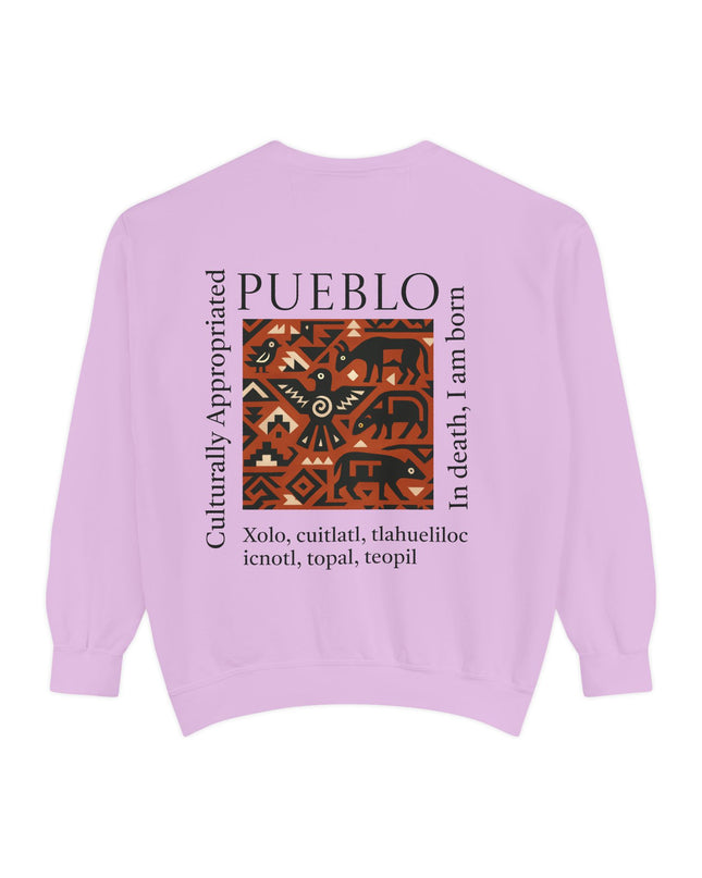 Pueblo Pattern Sweatshirt - Culturally Appropriated Designs