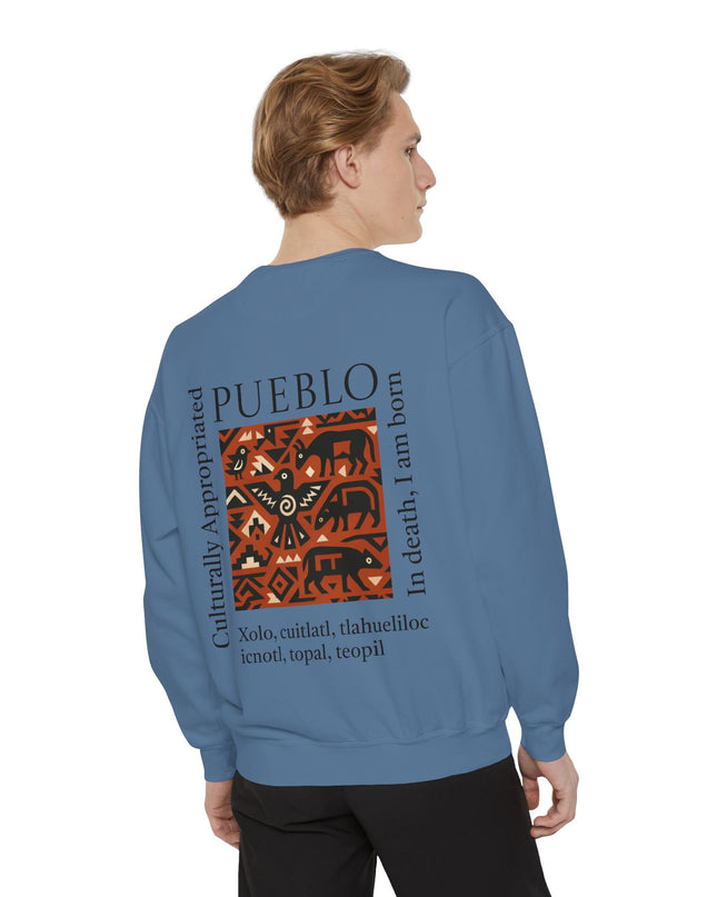 Pueblo Pattern Sweatshirt - Culturally Appropriated Designs