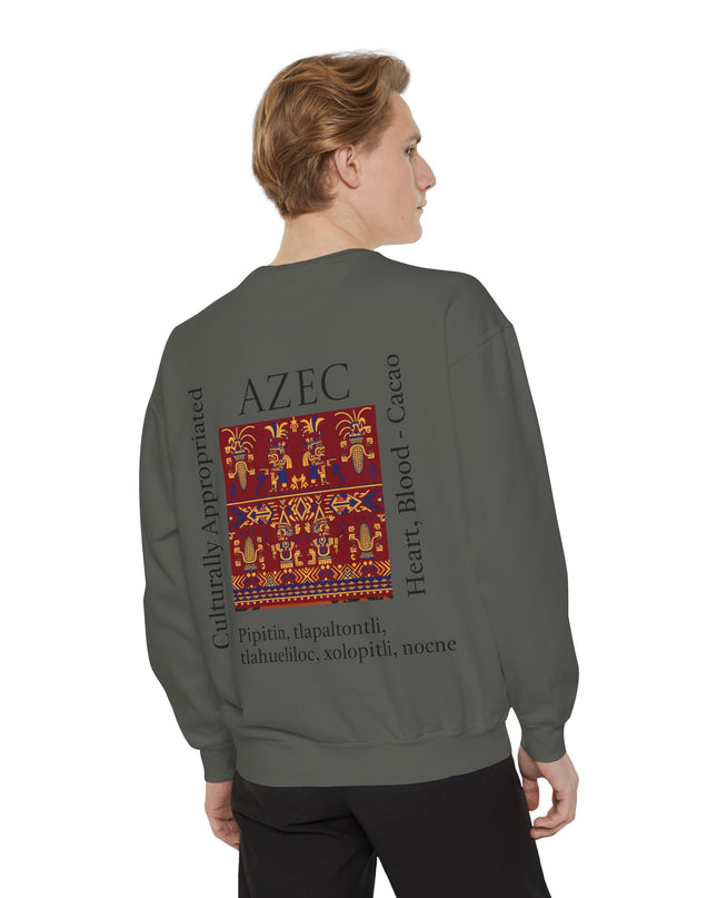 Aztec Pattern Sweatshirt - Culturally Appropriated Designs