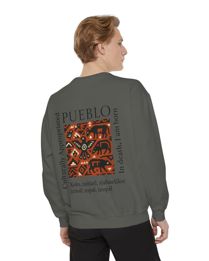 Pueblo Pattern Sweatshirt - Culturally Appropriated Designs