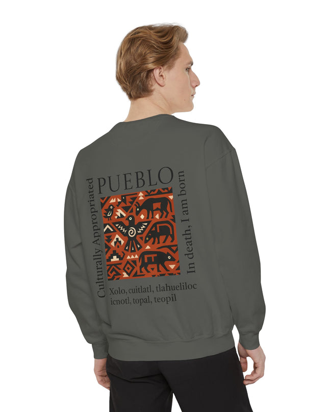 Pueblo Pattern Sweatshirt - Culturally Appropriated Designs