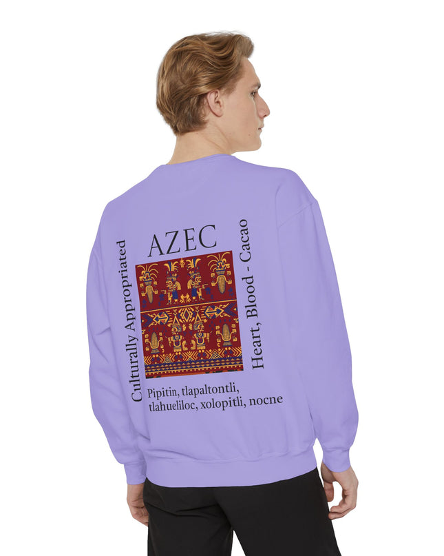 Aztec Pattern Sweatshirt - Culturally Appropriated Designs