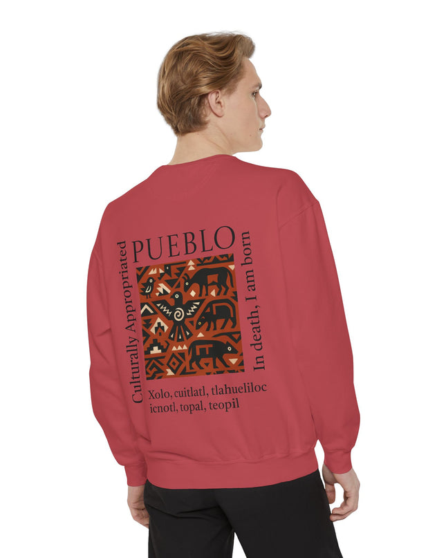 Pueblo Pattern Sweatshirt - Culturally Appropriated Designs