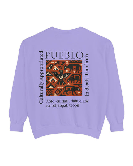 Pueblo Pattern Sweatshirt - Culturally Appropriated Designs