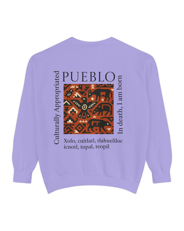 Pueblo Pattern Sweatshirt - Culturally Appropriated Designs