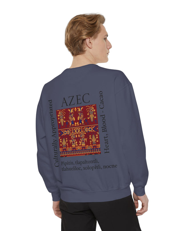 Aztec Pattern Sweatshirt - Culturally Appropriated Designs