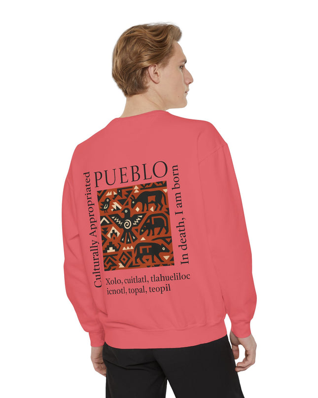 Pueblo Pattern Sweatshirt - Culturally Appropriated Designs