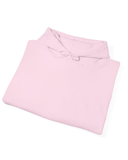 The Air Force Hooded Sweatshirt