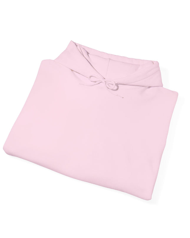 The Air Force Hooded Sweatshirt