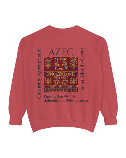 Aztec Pattern Sweatshirt - Culturally Appropriated Designs
