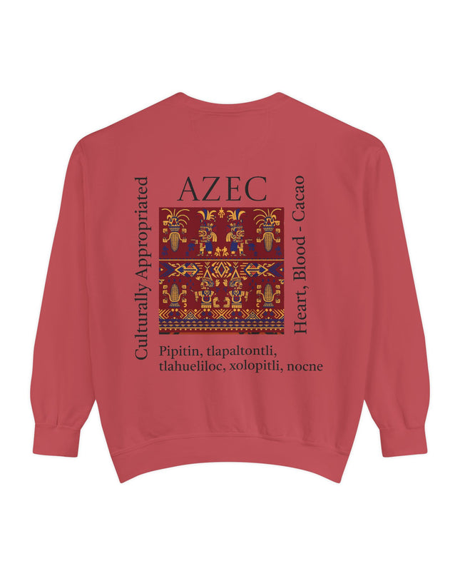 Aztec Pattern Sweatshirt - Culturally Appropriated Designs