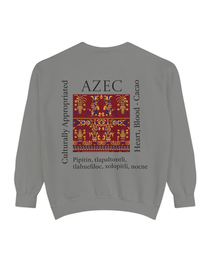Aztec Pattern Sweatshirt - Culturally Appropriated Designs