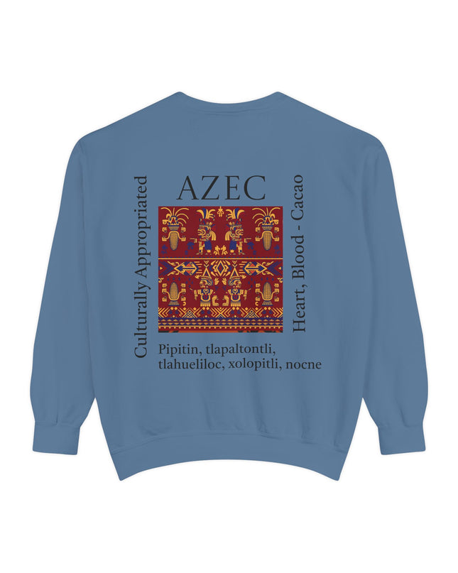 Aztec Pattern Sweatshirt - Culturally Appropriated Designs