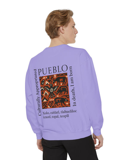 Pueblo Pattern Sweatshirt - Culturally Appropriated Designs