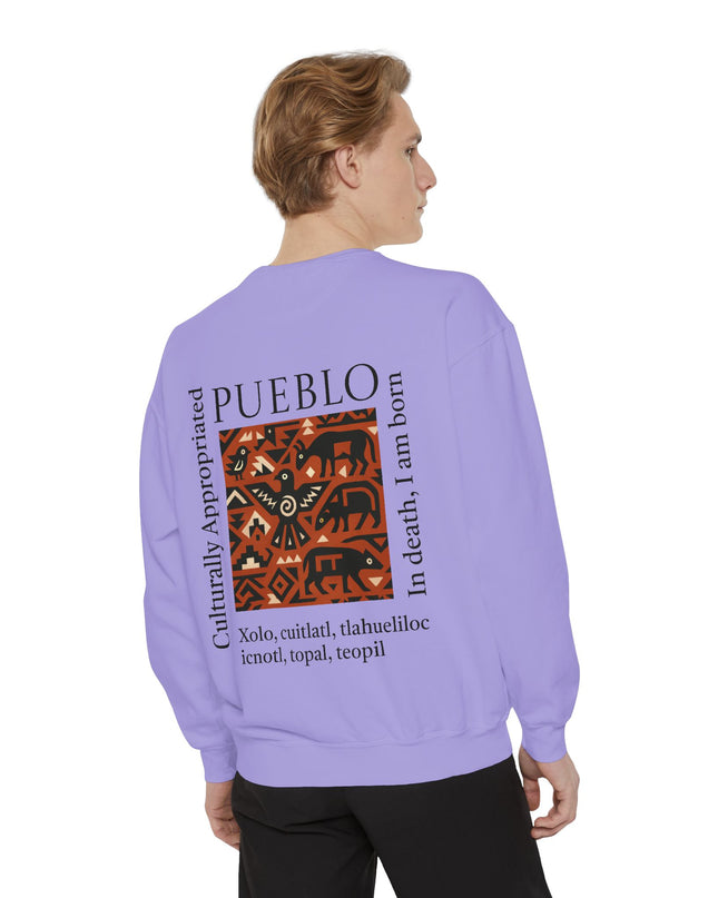 Pueblo Pattern Sweatshirt - Culturally Appropriated Designs
