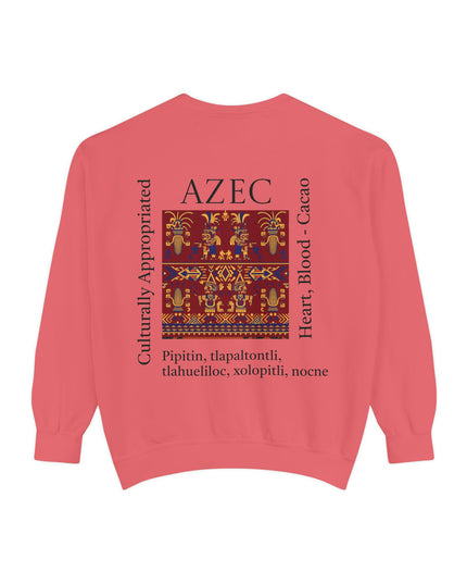 Aztec Pattern Sweatshirt - Culturally Appropriated Designs