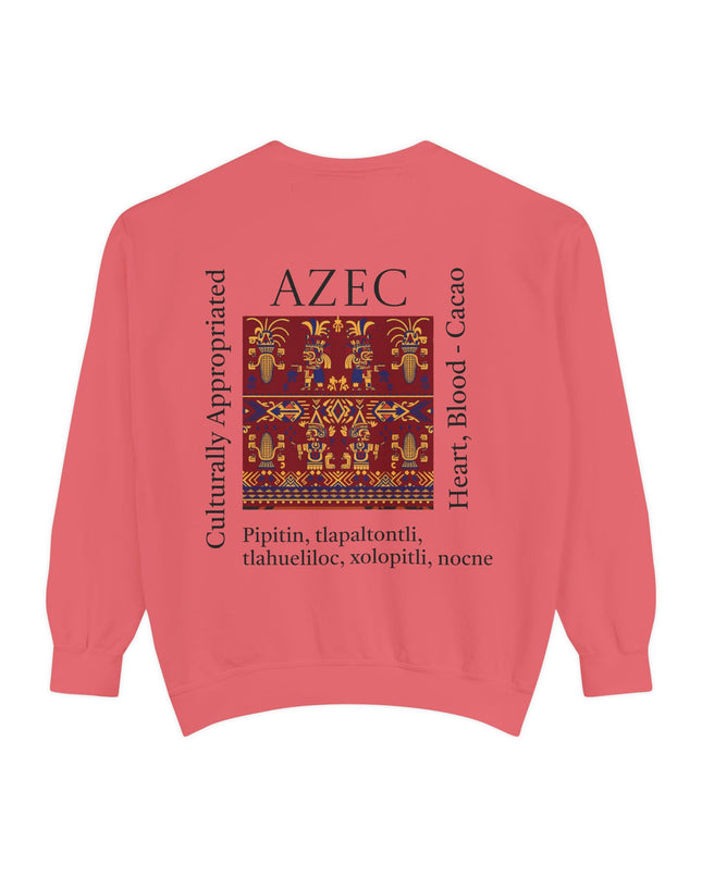 Aztec Pattern Sweatshirt - Culturally Appropriated Designs