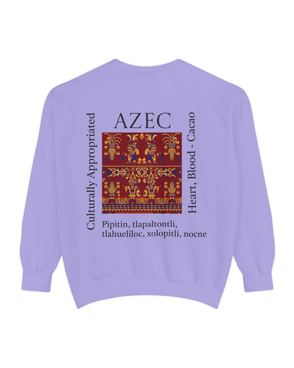 Aztec Pattern Sweatshirt - Culturally Appropriated Designs