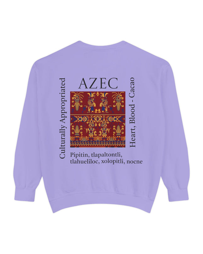 Aztec Pattern Sweatshirt - Culturally Appropriated Designs