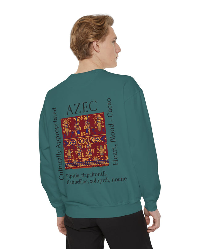 Aztec Pattern Sweatshirt - Culturally Appropriated Designs