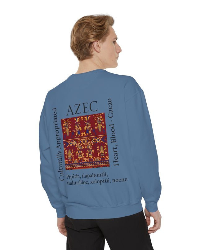 Aztec Pattern Sweatshirt - Culturally Appropriated Designs