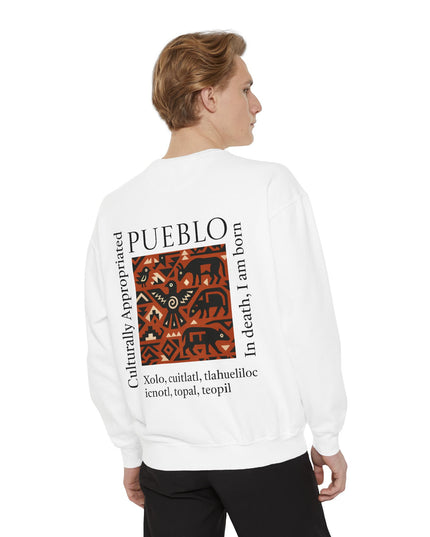 Pueblo Pattern Sweatshirt - Culturally Appropriated Designs