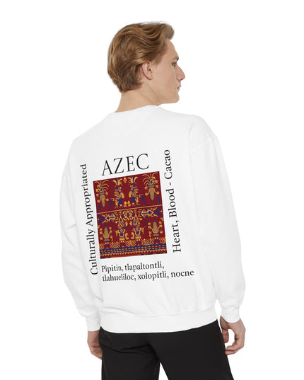 Aztec Pattern Sweatshirt - Culturally Appropriated Designs