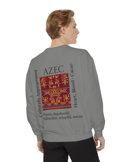Aztec Pattern Sweatshirt - Culturally Appropriated Designs