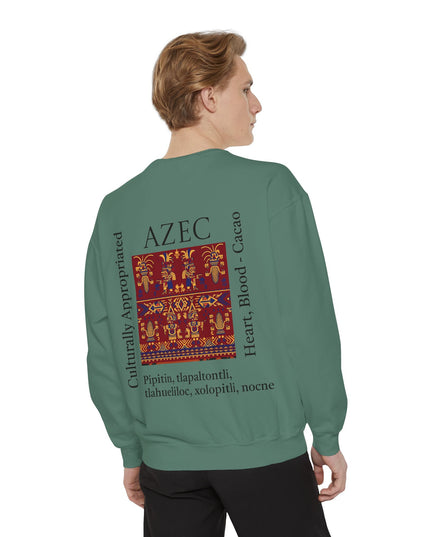 Aztec Pattern Sweatshirt - Culturally Appropriated Designs