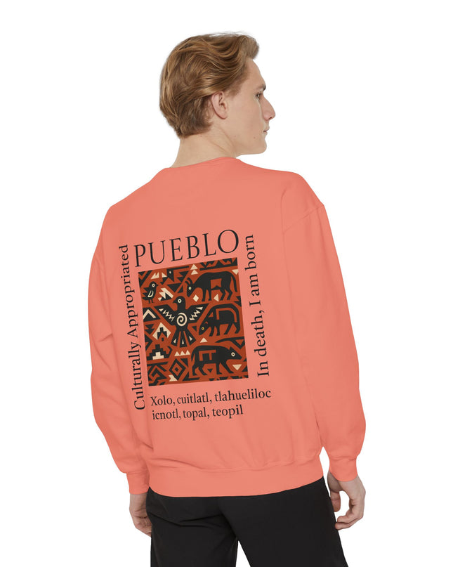 Pueblo Pattern Sweatshirt - Culturally Appropriated Designs
