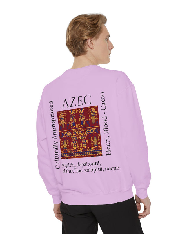 Aztec Pattern Sweatshirt - Culturally Appropriated Designs