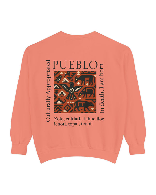 Pueblo Pattern Sweatshirt - Culturally Appropriated Designs