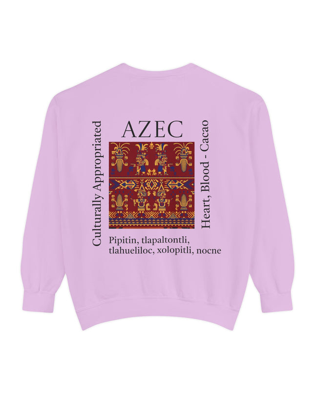 Aztec Pattern Sweatshirt - Culturally Appropriated Designs
